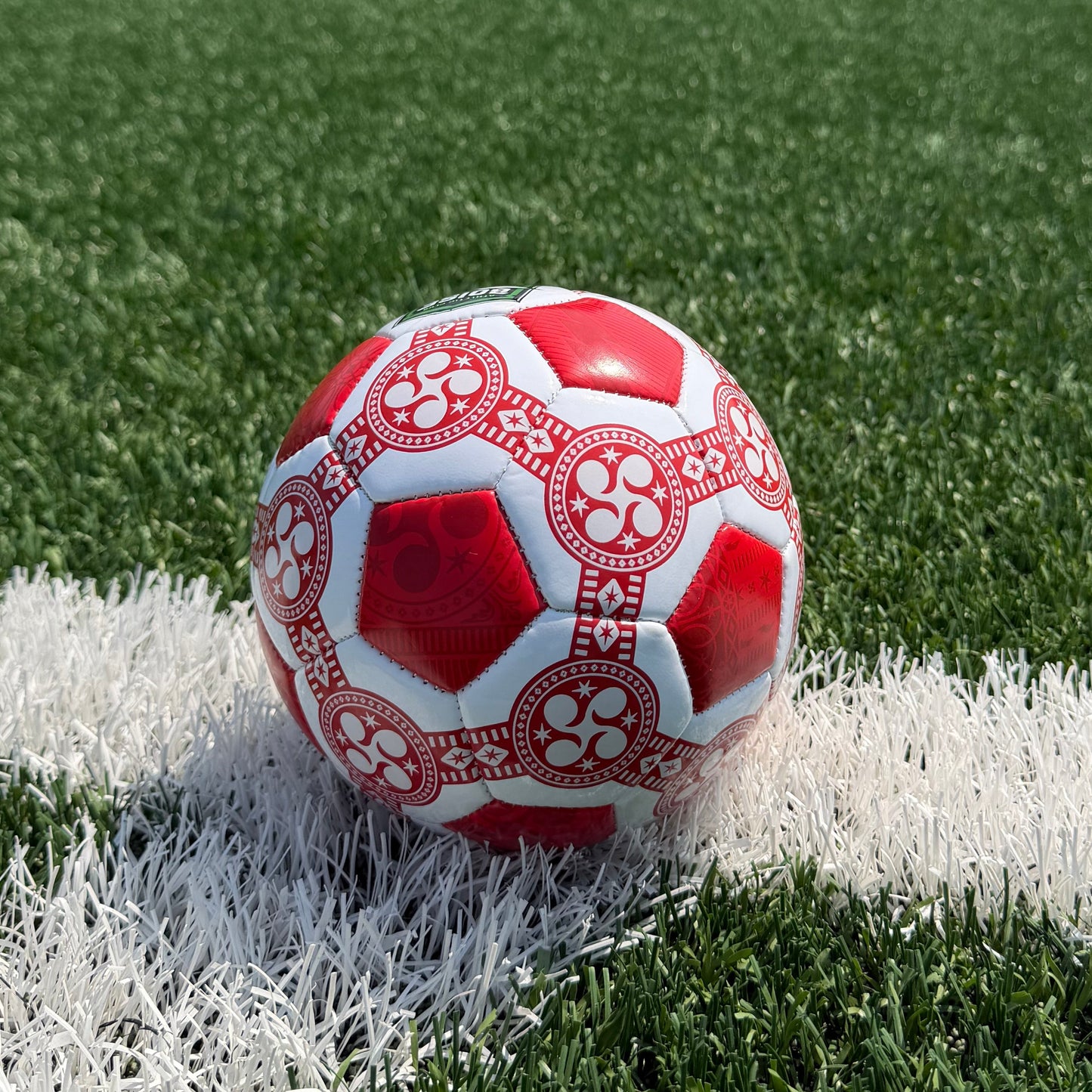 Athletic Club Boise Mini Training Ball