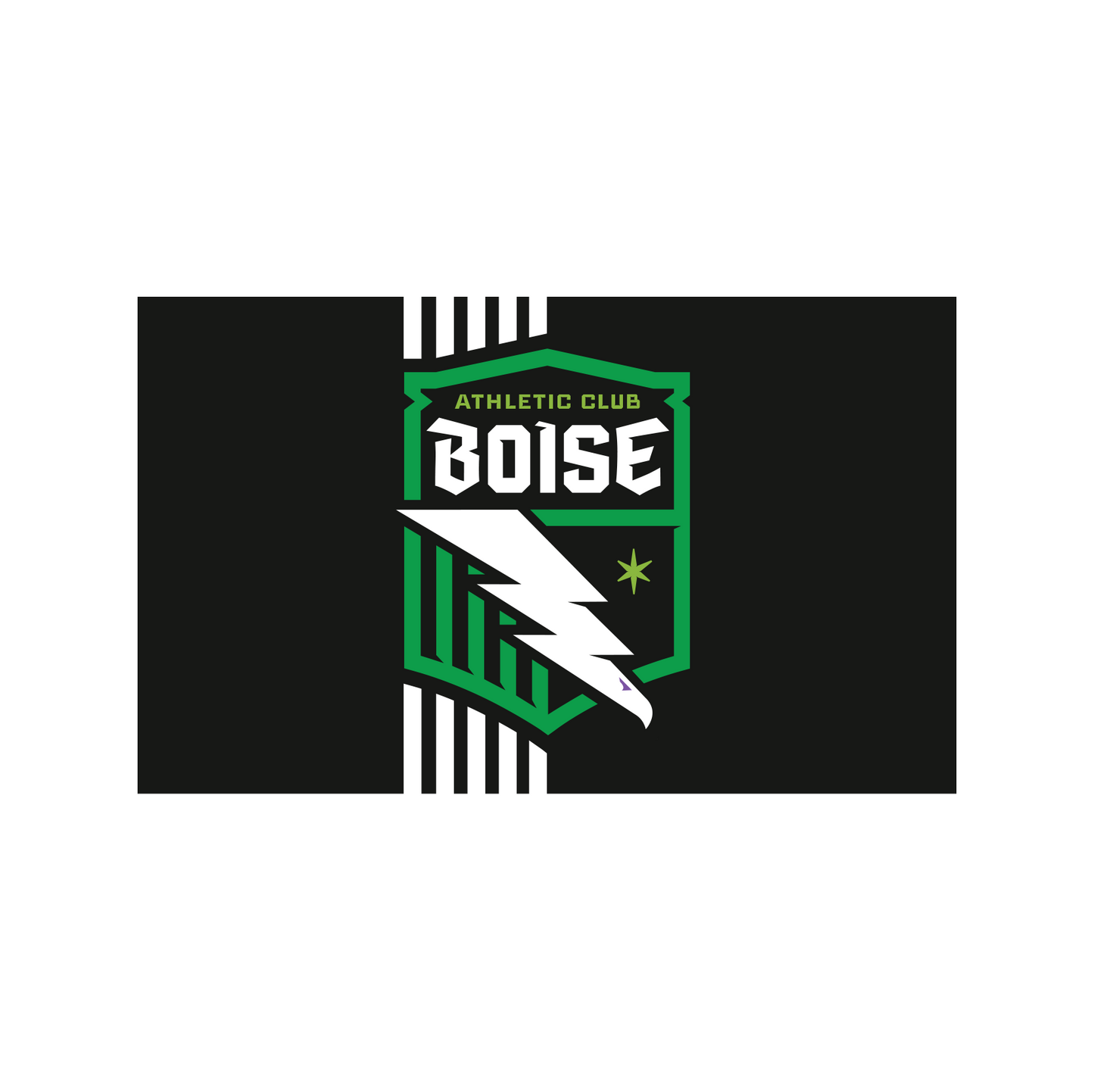 Athletic Club Boise Black & White Stripe Flag