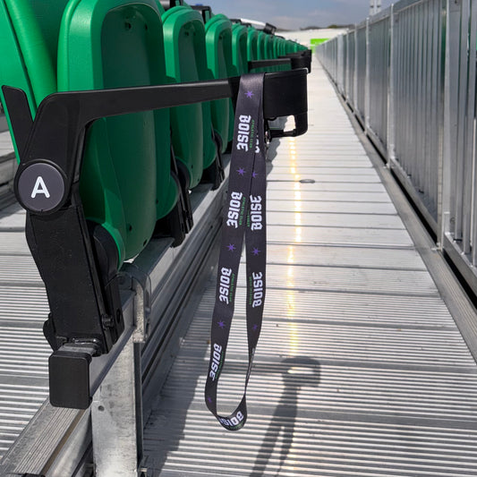 Lanyard