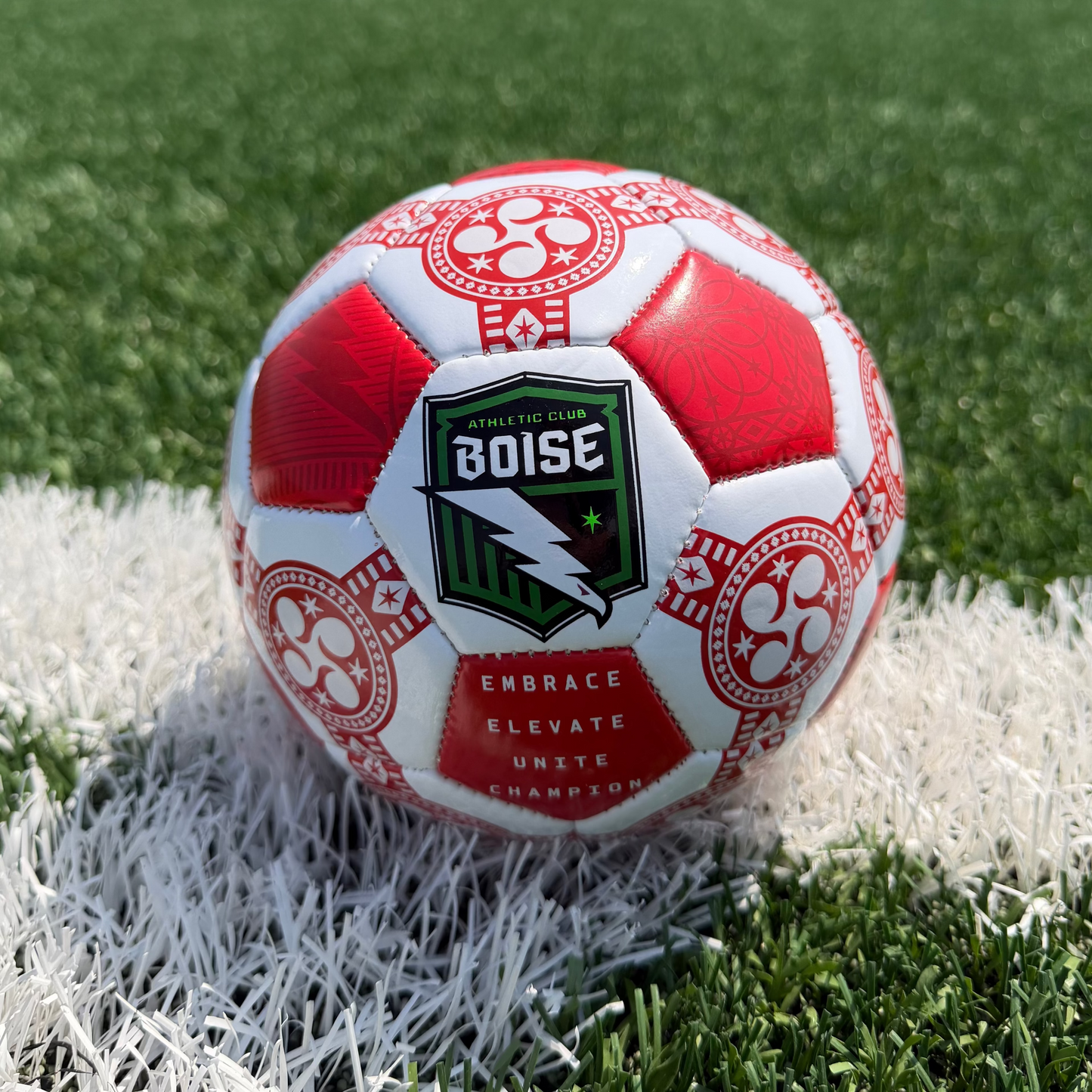 Athletic Club Boise Mini Training Ball